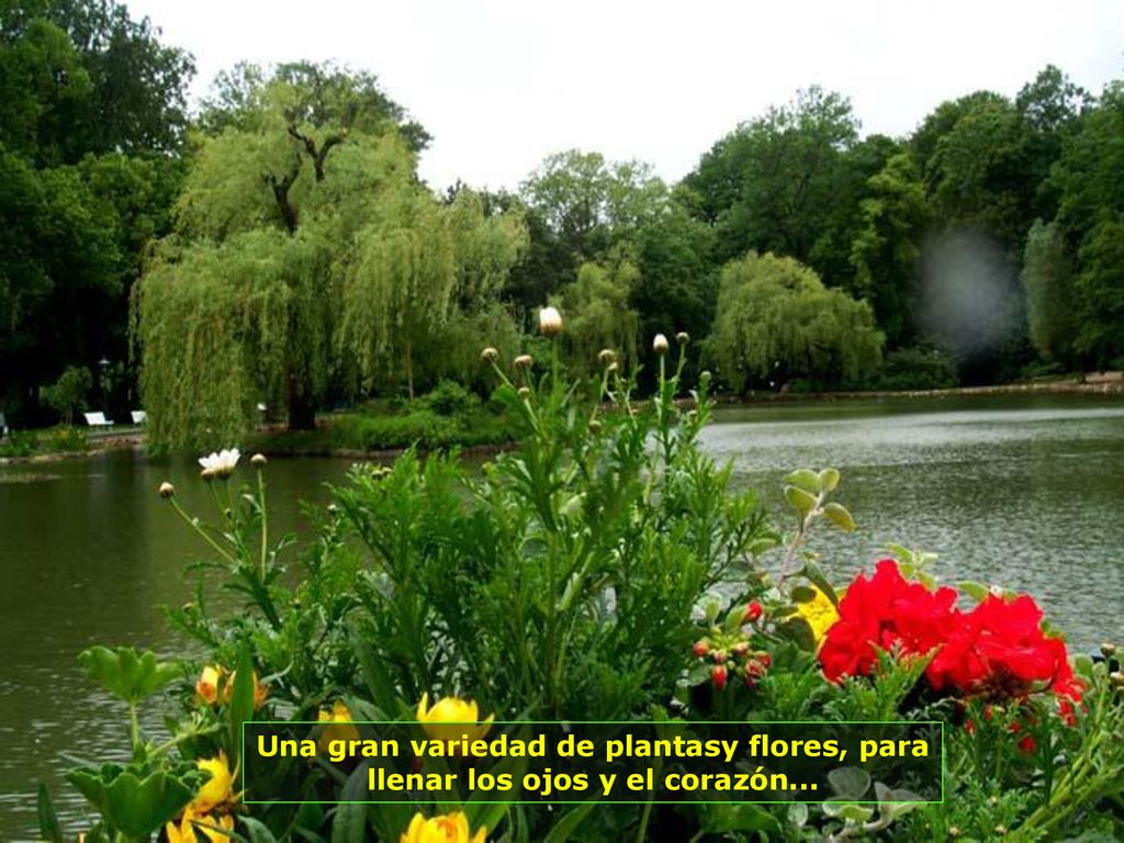 Una gran variedad de plantasy flores, para llenar los ojos y el corazón...