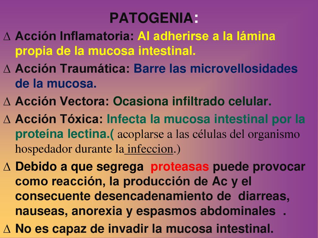PATOGENIA: Acción Inflamatoria: Al adherirse a la lámina propia de la mucosa intestinal.