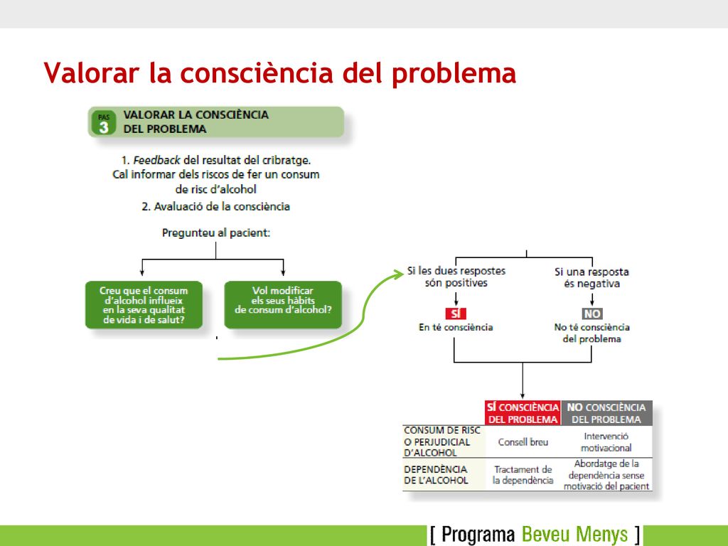 Valorar la consciència del problema