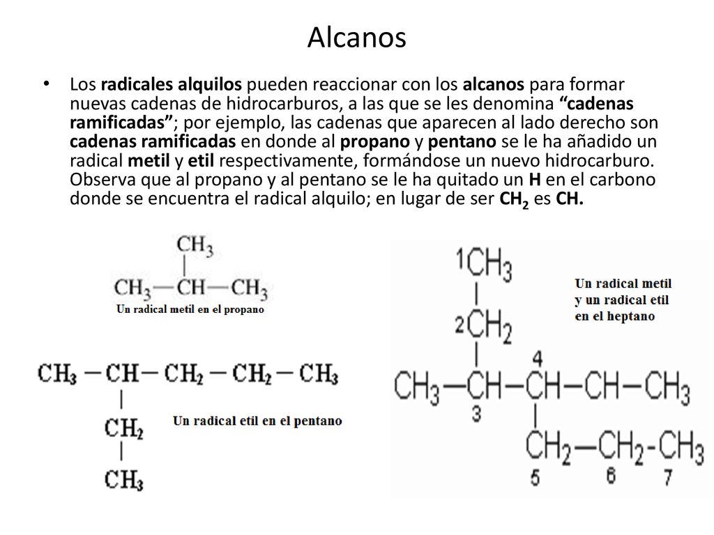 Alcanos