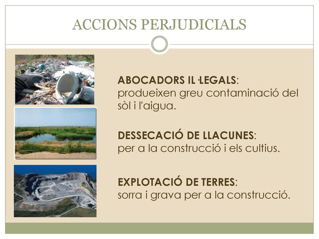 ACCIONS PERJUDICIALS ABOCADORS IL·LEGALS: produeixen greu contaminació del sòl i l aigua. DESSECACIÓ DE LLACUNES: