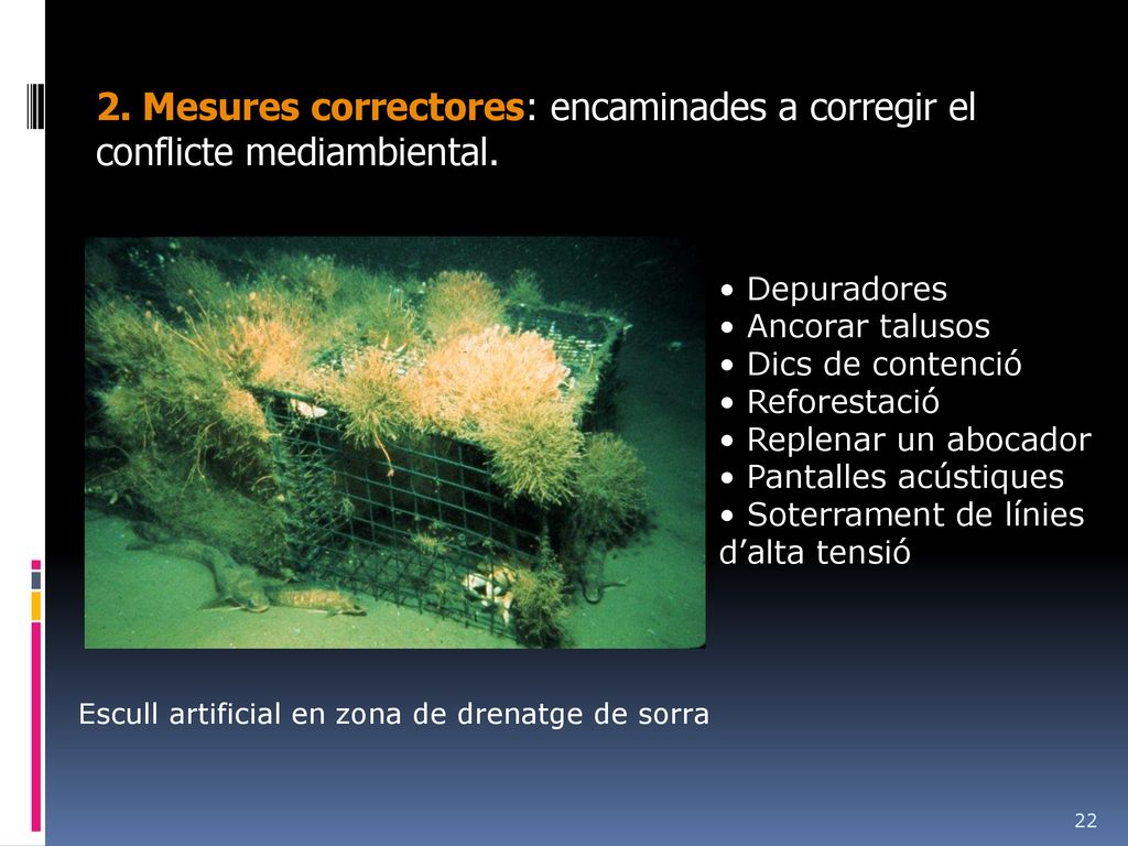 2. Mesures correctores: encaminades a corregir el conflicte mediambiental.