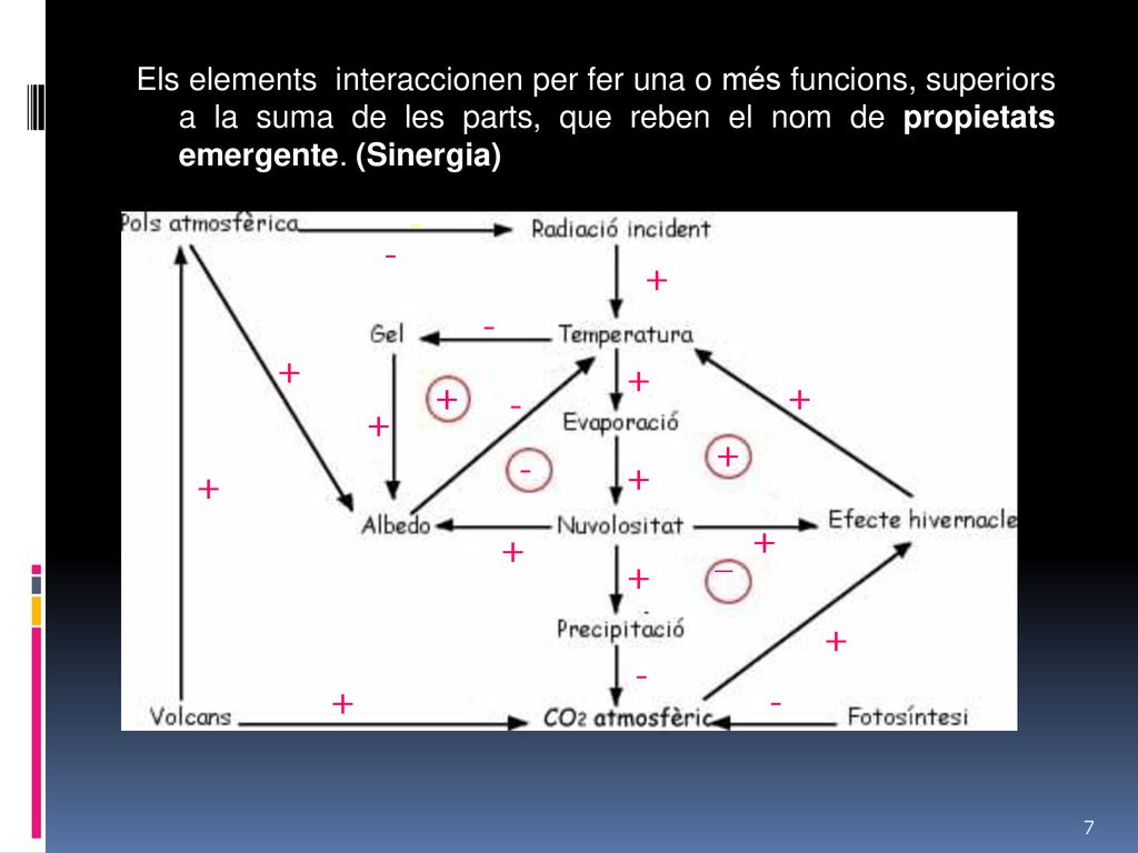 Els elements interaccionen per fer una o més funcions, superiors a la suma de les parts, que reben el nom de propietats emergente. (Sinergia)
