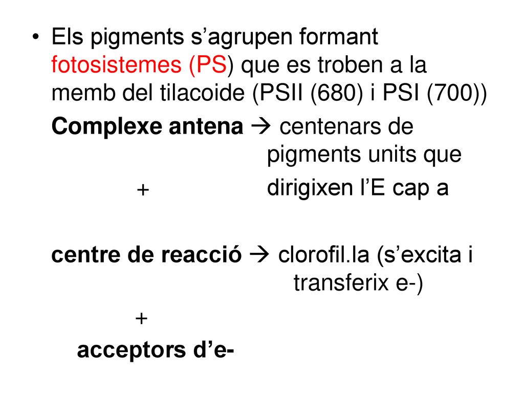 Els pigments s’agrupen formant fotosistemes (PS) que es troben a la memb del tilacoide (PSII (680) i PSI (700))