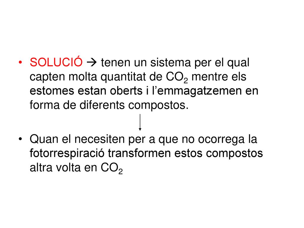 SOLUCIÓ  tenen un sistema per el qual capten molta quantitat de CO2 mentre els estomes estan oberts i l’emmagatzemen en forma de diferents compostos.
