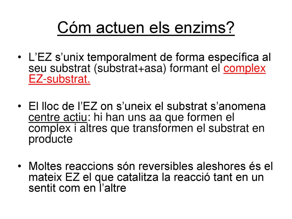 Cóm actuen els enzims L’EZ s’unix temporalment de forma específica al seu substrat (substrat+asa) formant el complex EZ-substrat.