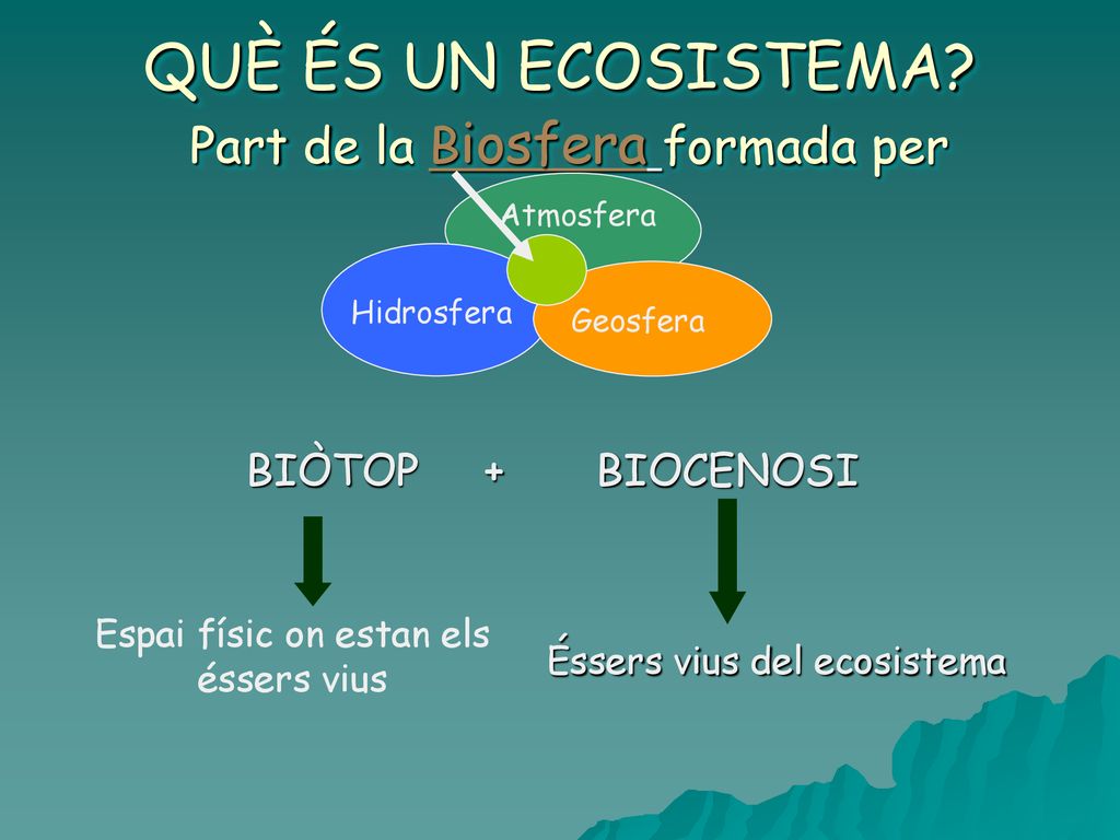 QUÈ ÉS UN ECOSISTEMA Part de la Biosfera formada per