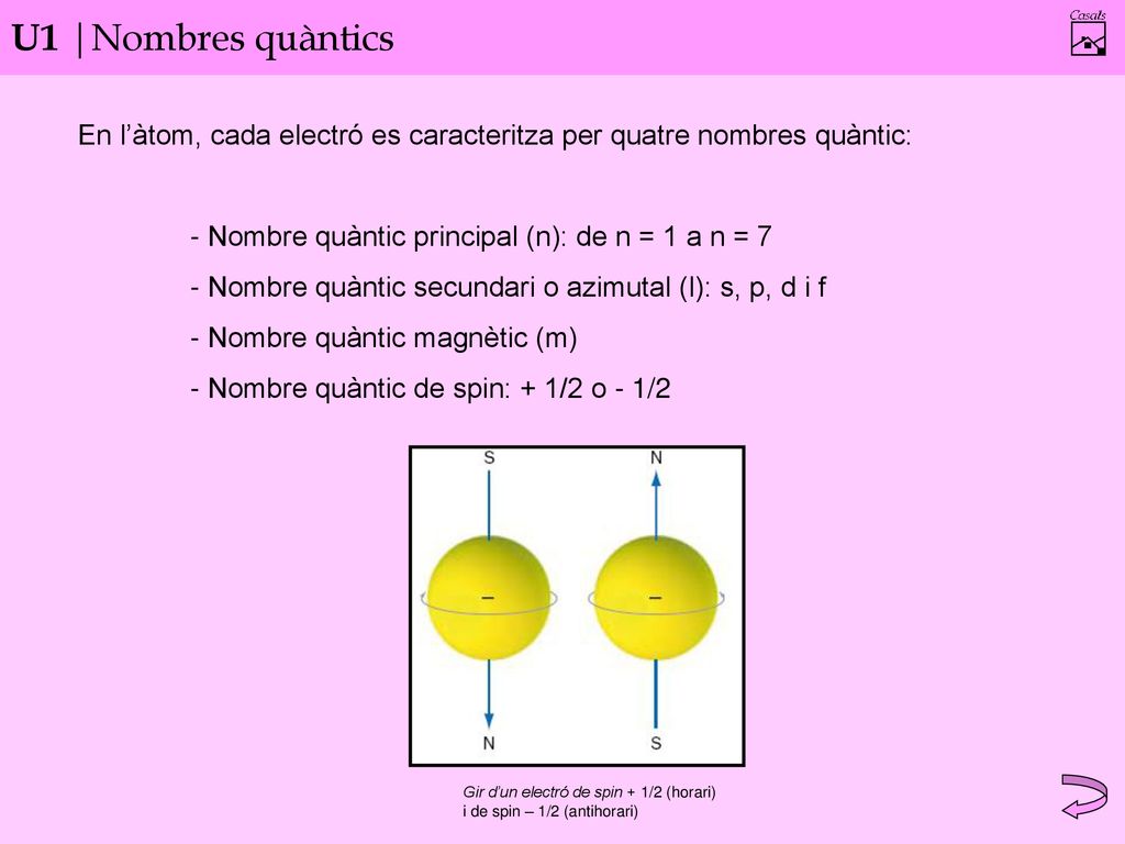 U1 |Nombres quàntics En l’àtom, cada electró es caracteritza per quatre nombres quàntic: - Nombre quàntic principal (n): de n = 1 a n = 7.