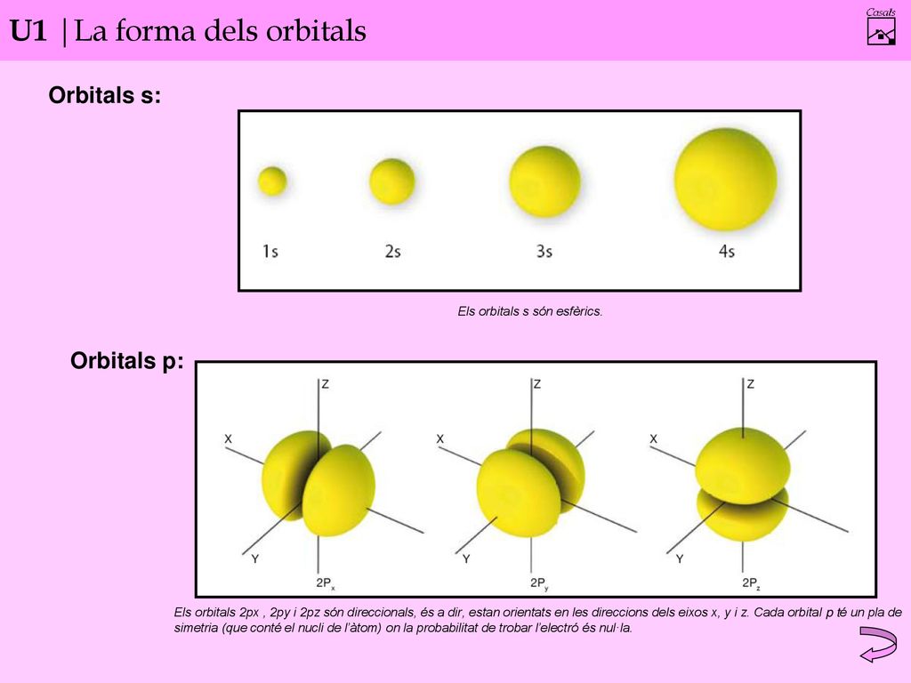 U1 |La forma dels orbitals