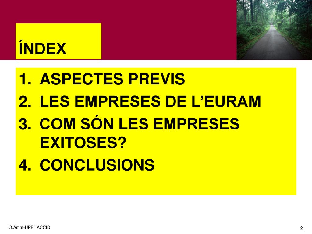 LES EMPRESES DE L’EURAM COM SÓN LES EMPRESES EXITOSES CONCLUSIONS