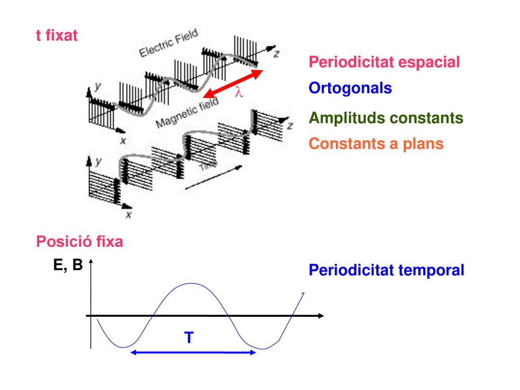 t fixat Periodicitat espacial. Ortogonals. l. Amplituds constants. Constants a plans. Posició fixa.