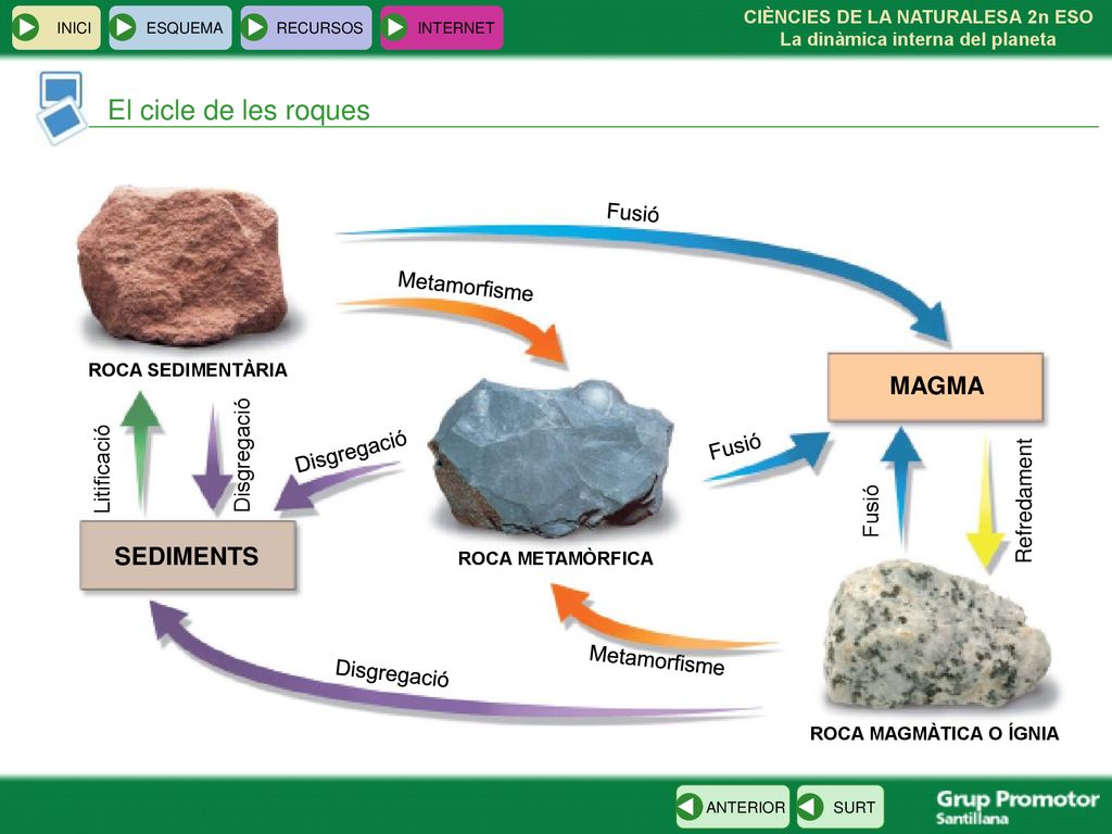 El cicle de les roques MAGMA SEDIMENTS Fusió Metamorfisme Disgregació