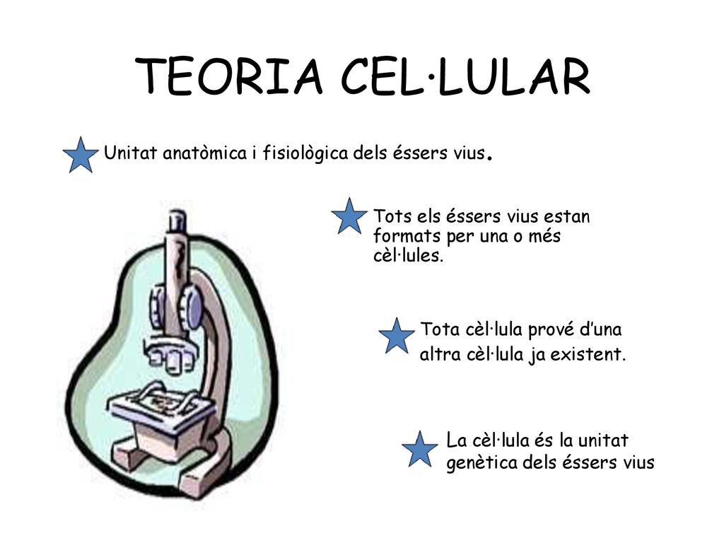 TEORIA CEL·LULAR La cèl·lula és la unitat genètica dels éssers vius