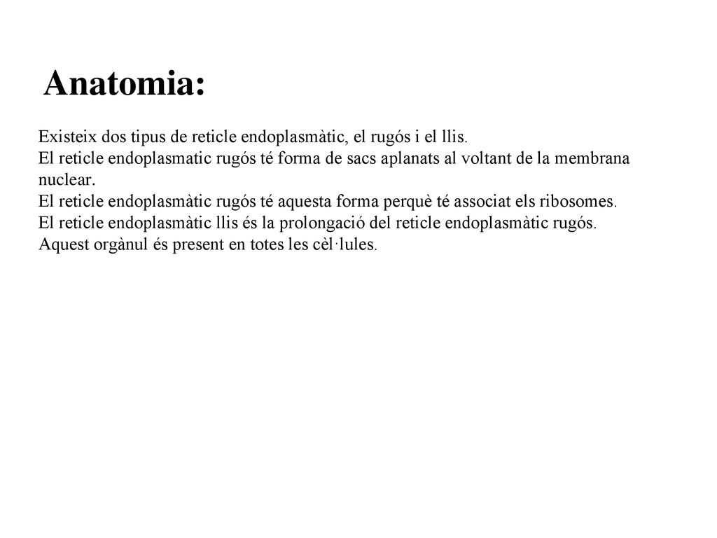 Anatomia: Existeix dos tipus de reticle endoplasmàtic, el rugós i el llis.