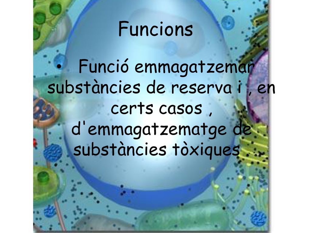 Funcions Funció emmagatzemar substàncies de reserva i , en certs casos , d emmagatzematge de substàncies tòxiques .