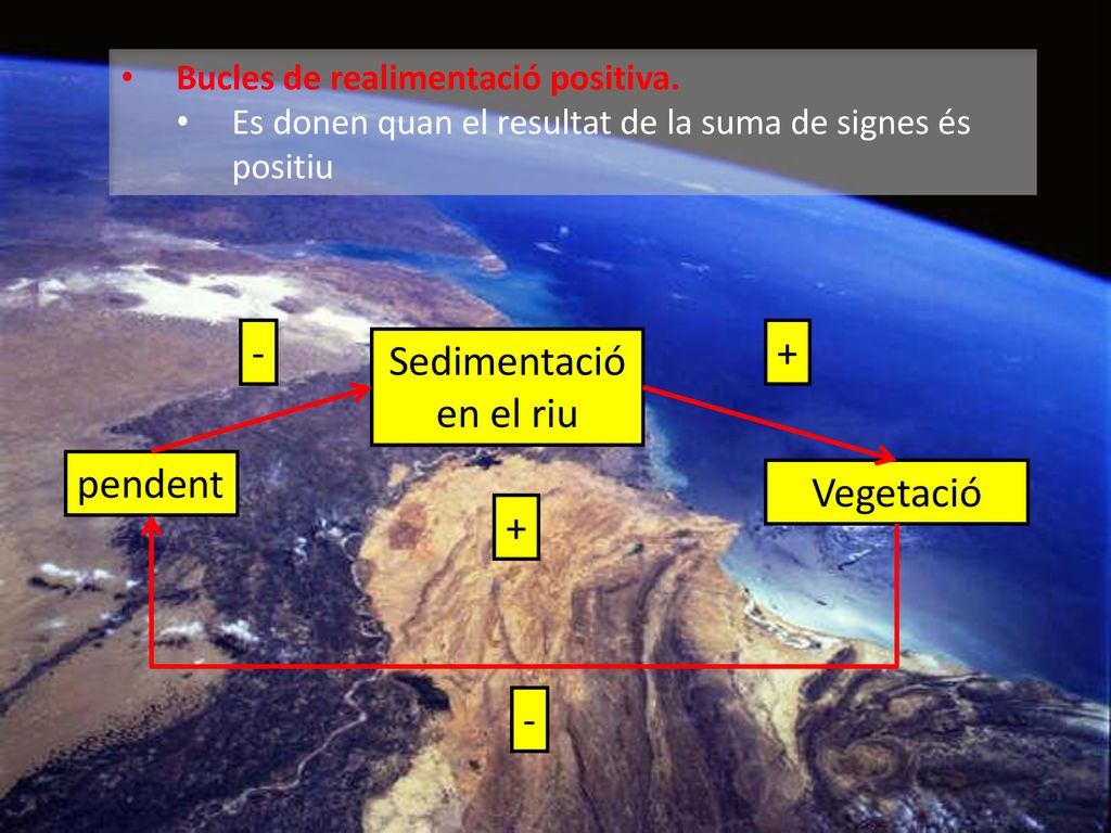 - + Sedimentació en el riu pendent Vegetació + -