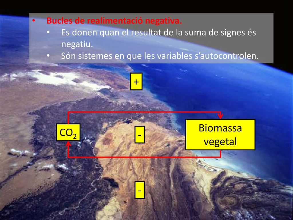 + Biomassa vegetal CO2 - - Bucles de realimentació negativa.