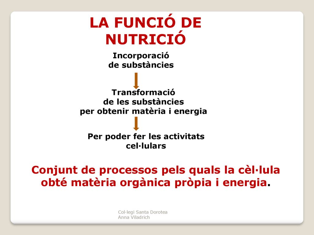 per obtenir matèria i energia Per poder fer les activitats cel·lulars