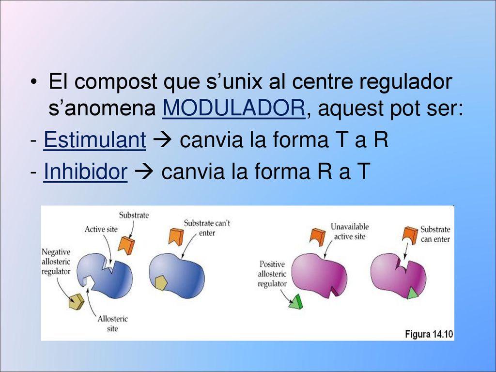 El compost que s’unix al centre regulador s’anomena MODULADOR, aquest pot ser: