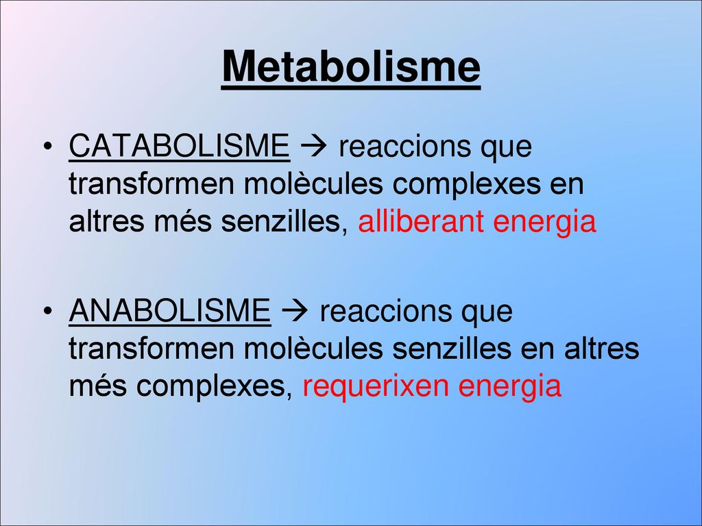 Metabolisme CATABOLISME  reaccions que transformen molècules complexes en altres més senzilles, alliberant energia.
