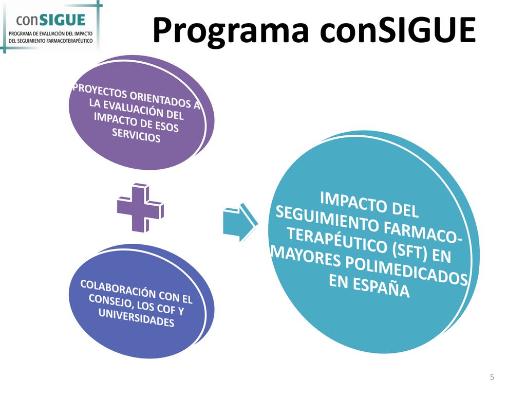 Programa conSIGUE PROYECTOS ORIENTADOS A LA EVALUACIÓN DEL IMPACTO DE ESOS SERVICIOS. COLABORACIÓN CON EL CONSEJO, LOS COF Y UNIVERSIDADES.