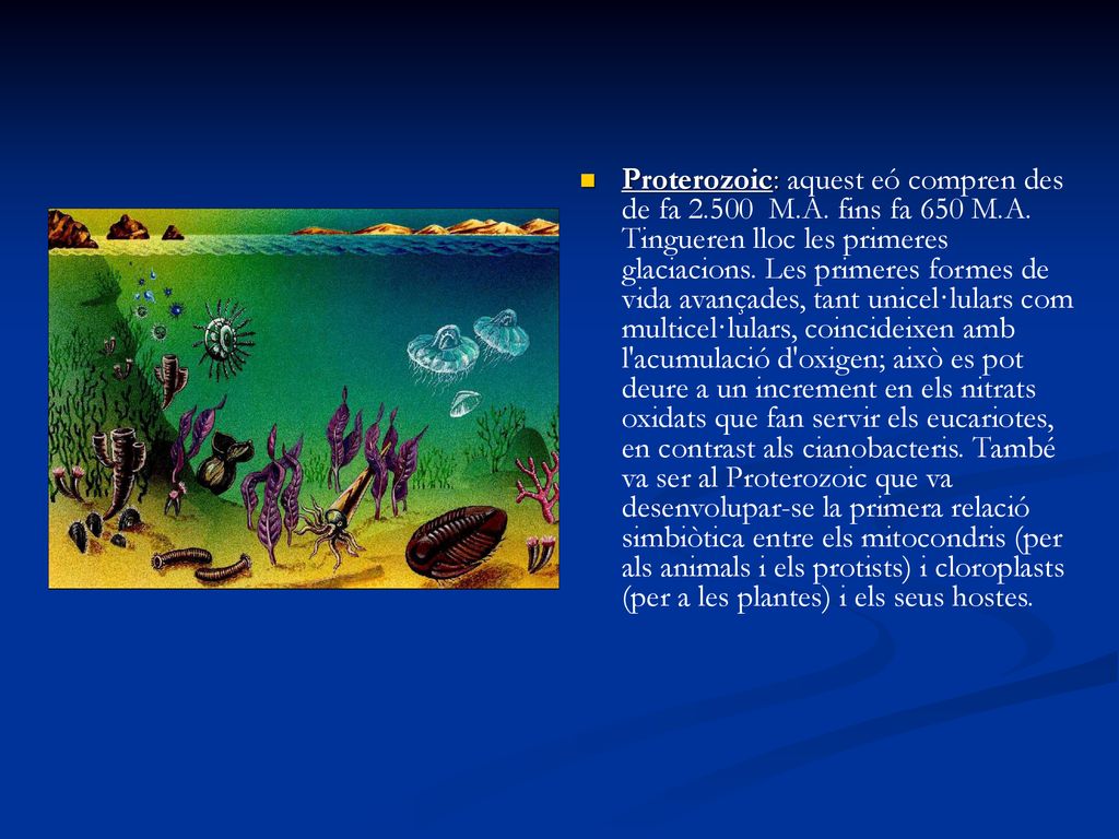 Proterozoic: aquest eó compren des de fa M. A. fins fa 650 M. A