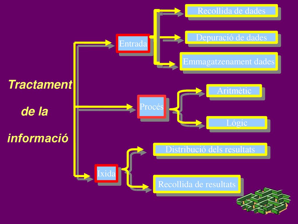 Tractament de la informació Recollida de dades Depuració de dades