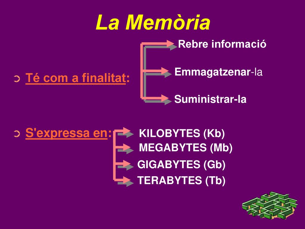 La Memòria Té com a finalitat: S expressa en: KILOBYTES (Kb)