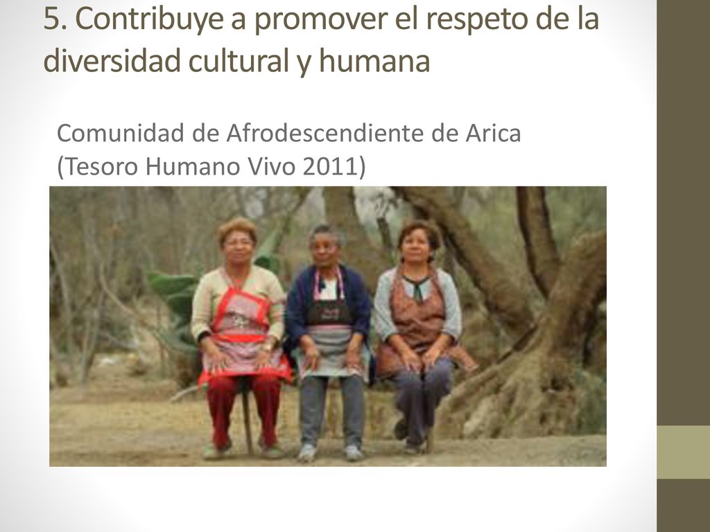 5. Contribuye a promover el respeto de la diversidad cultural y humana