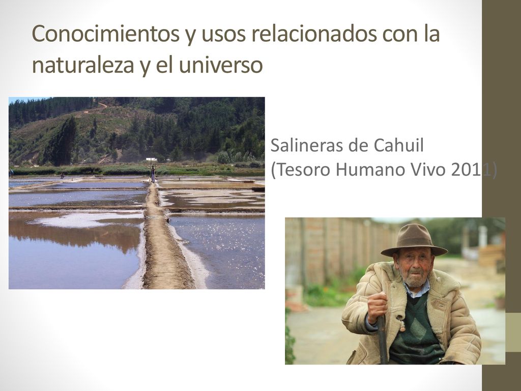 Conocimientos y usos relacionados con la naturaleza y el universo