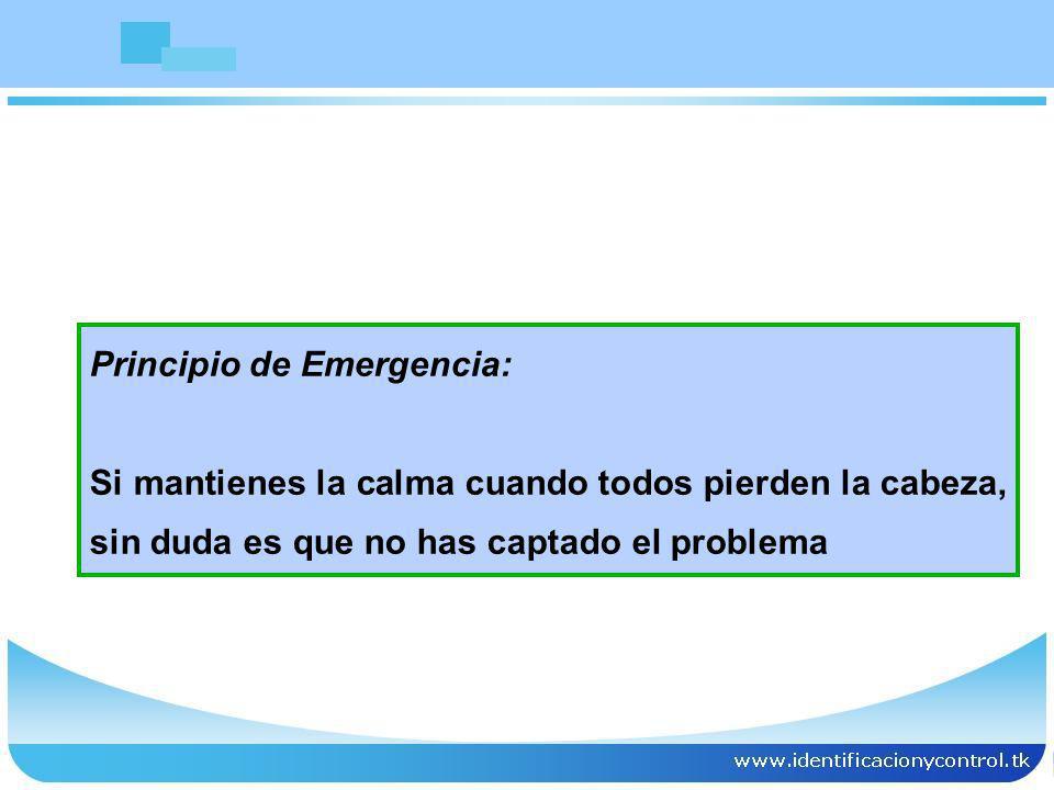 Principio de Emergencia: