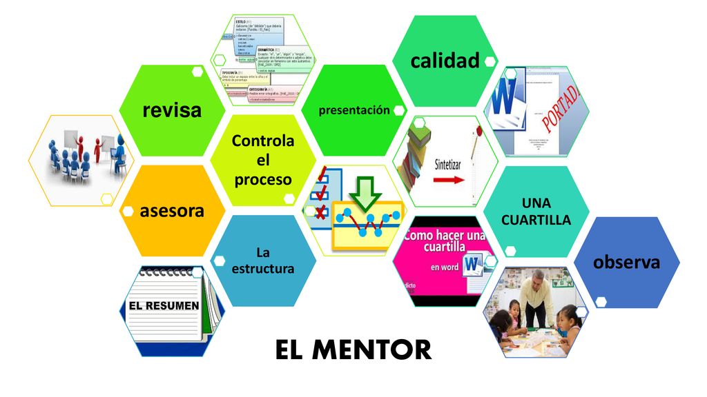 EL MENTOR calidad revisa asesora observa Controla el proceso
