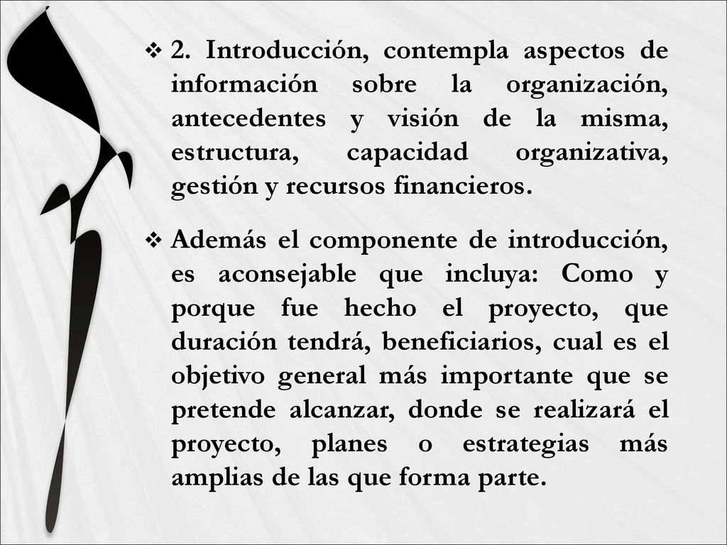 2. Introducción, contempla aspectos de información sobre la organización, antecedentes y visión de la misma, estructura, capacidad organizativa, gestión y recursos financieros.