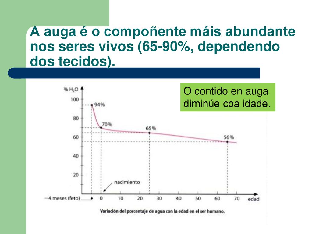 A auga é o compoñente máis abundante nos seres vivos (65-90%, dependendo dos tecidos).