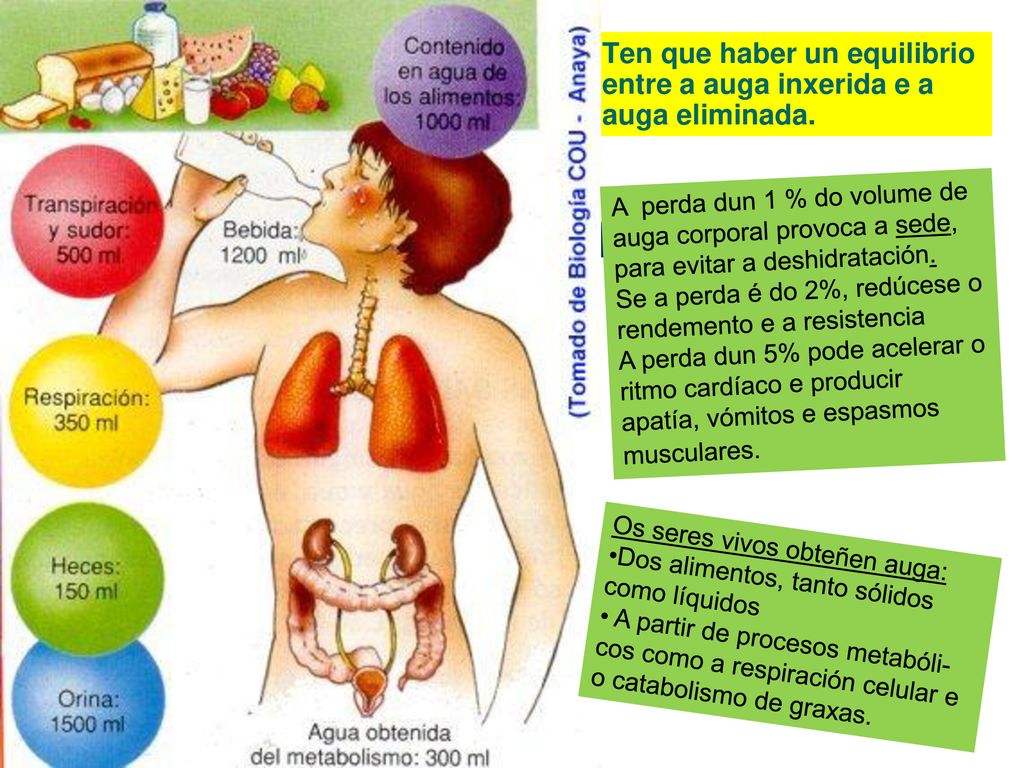 Ten que haber un equilibrio entre a auga inxerida e a auga eliminada.