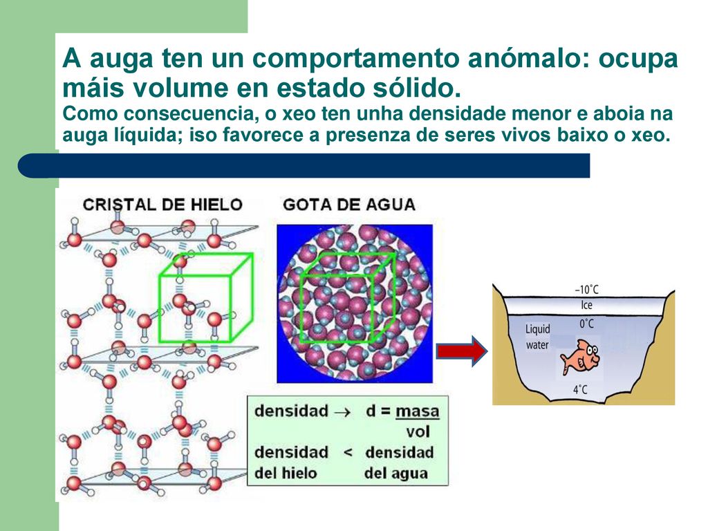 A auga ten un comportamento anómalo: ocupa máis volume en estado sólido.