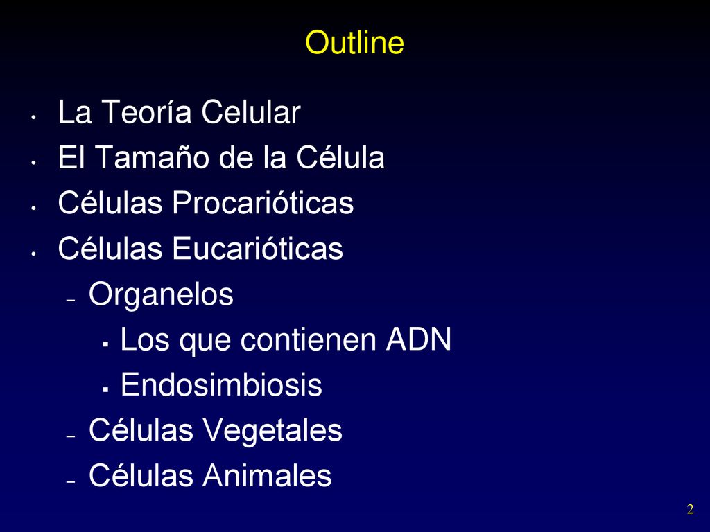 Outline La Teoría Celular. El Tamaño de la Célula. Células Procarióticas. Células Eucarióticas. Organelos.
