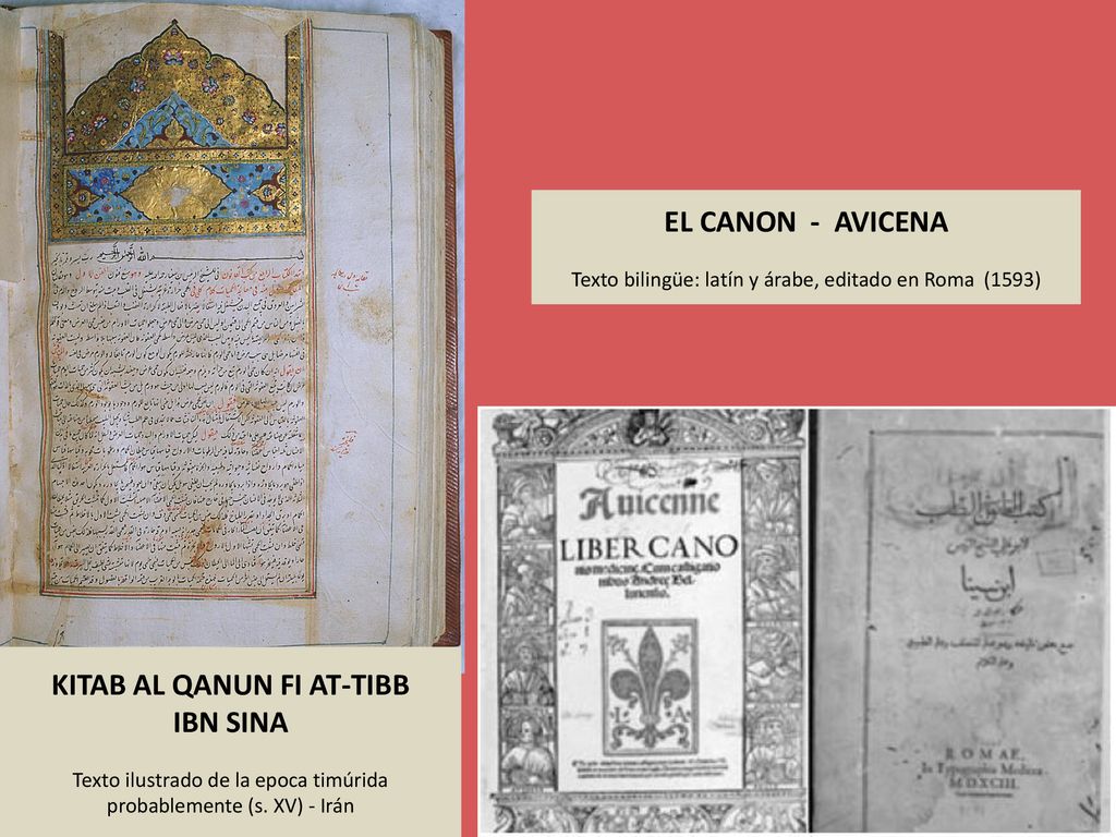 EL CANON - AVICENA Texto bilingüe: latín y árabe, editado en Roma (1593)