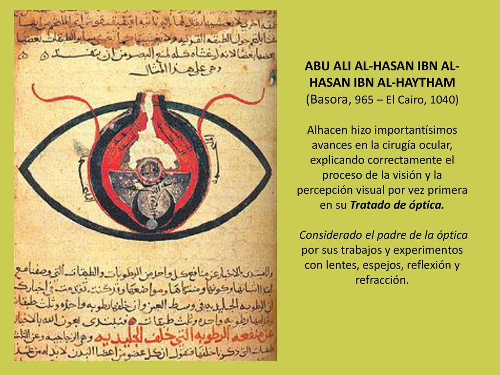 ABU ALI AL-HASAN IBN AL-HASAN IBN AL-HAYTHAM (Basora, 965 – El Cairo, 1040) Alhacen hizo importantísimos avances en la cirugía ocular, explicando correctamente el proceso de la visión y la percepción visual por vez primera en su Tratado de óptica.