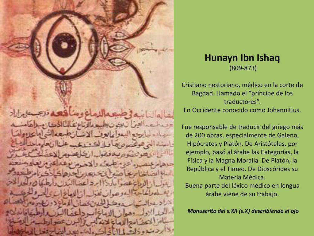 Hunayn Ibn Ishaq ( ) Cristiano nestoriano, médico en la corte de Bagdad.