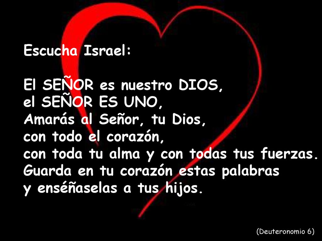 El SEÑOR es nuestro DIOS, el SEÑOR ES UNO, Amarás al Señor, tu Dios,