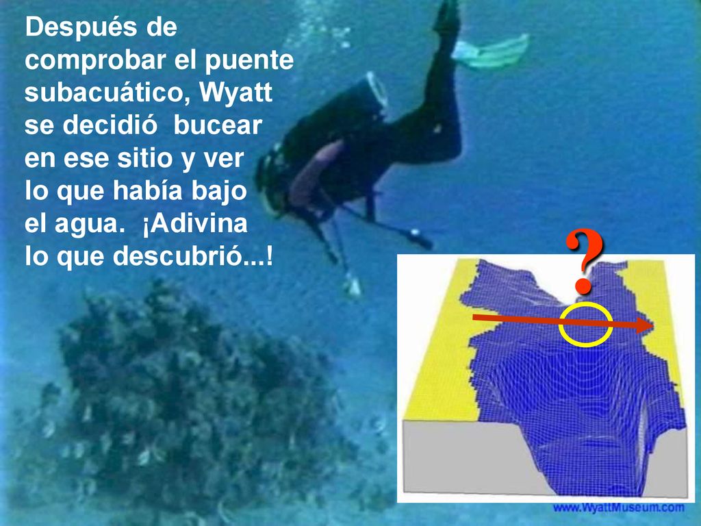 Después de comprobar el puente subacuático, Wyatt se decidió bucear en ese sitio y ver lo que había bajo el agua. ¡Adivina lo que descubrió...!