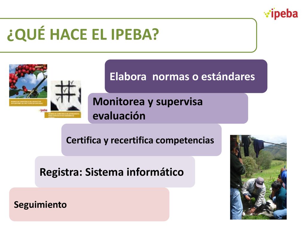 ¿QUÉ HACE EL IPEBA Elabora normas o estándares