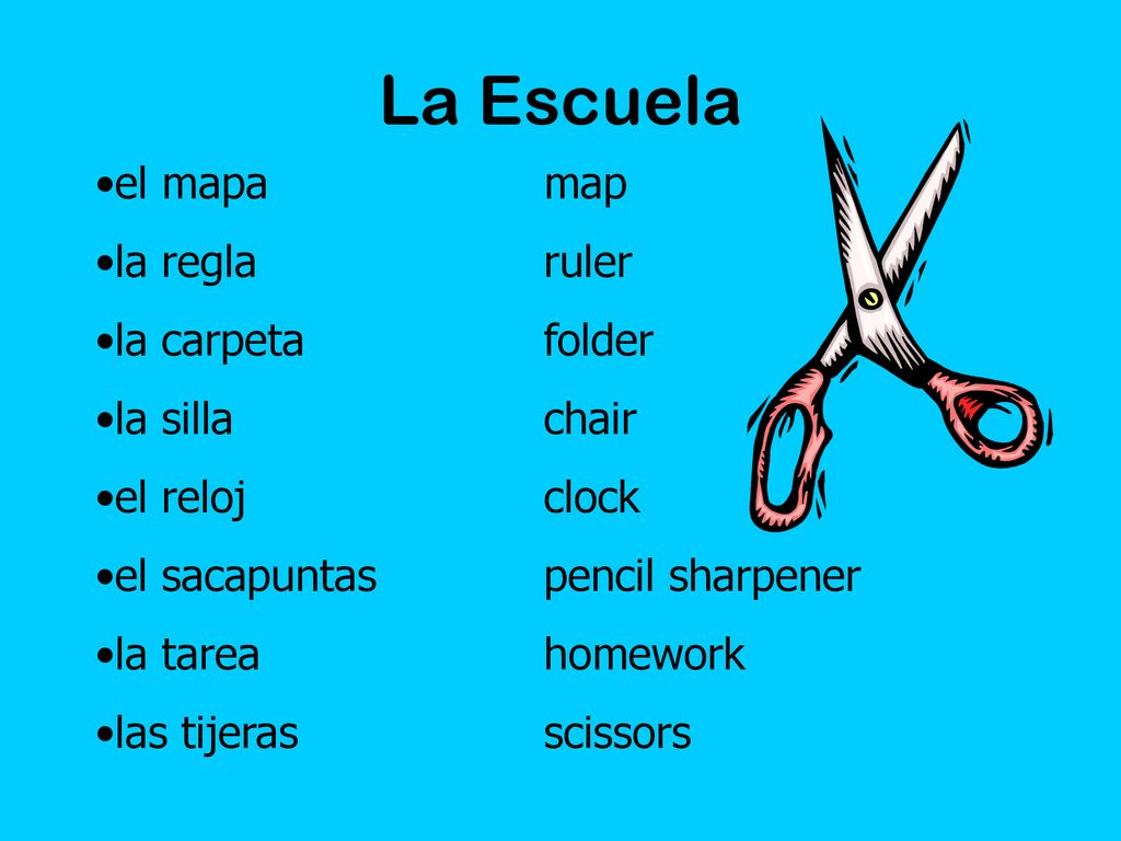 La Escuela el mapa map la regla ruler la carpeta folder la silla chair
