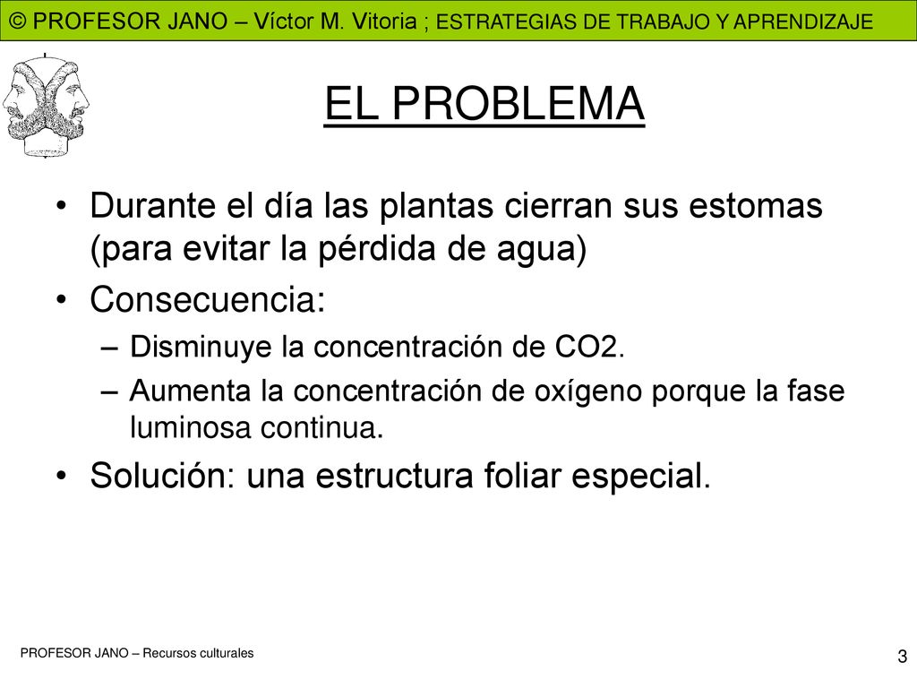EL PROBLEMA Durante el día las plantas cierran sus estomas (para evitar la pérdida de agua) Consecuencia: