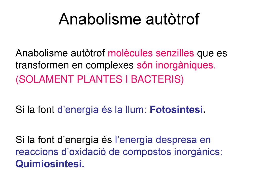 Anabolisme autòtrof Anabolisme autòtrof molècules senzilles que es transformen en complexes són inorgàniques.
