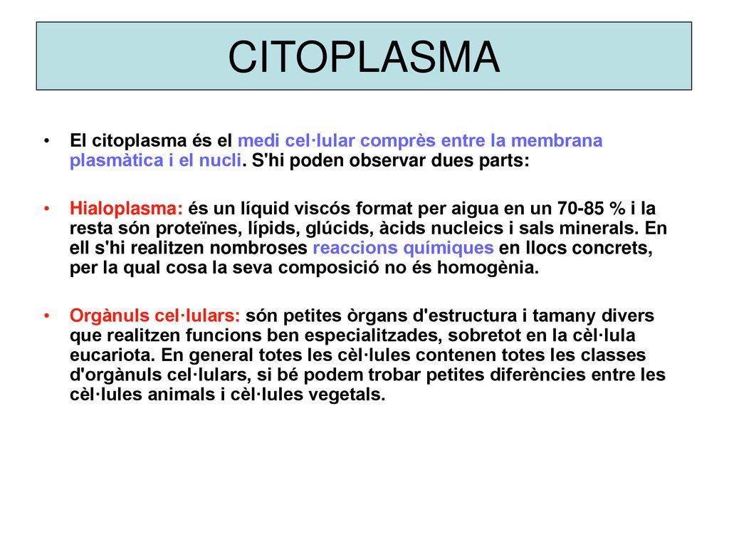 CITOPLASMA El citoplasma és el medi cel·lular comprès entre la membrana plasmàtica i el nucli. S hi poden observar dues parts: