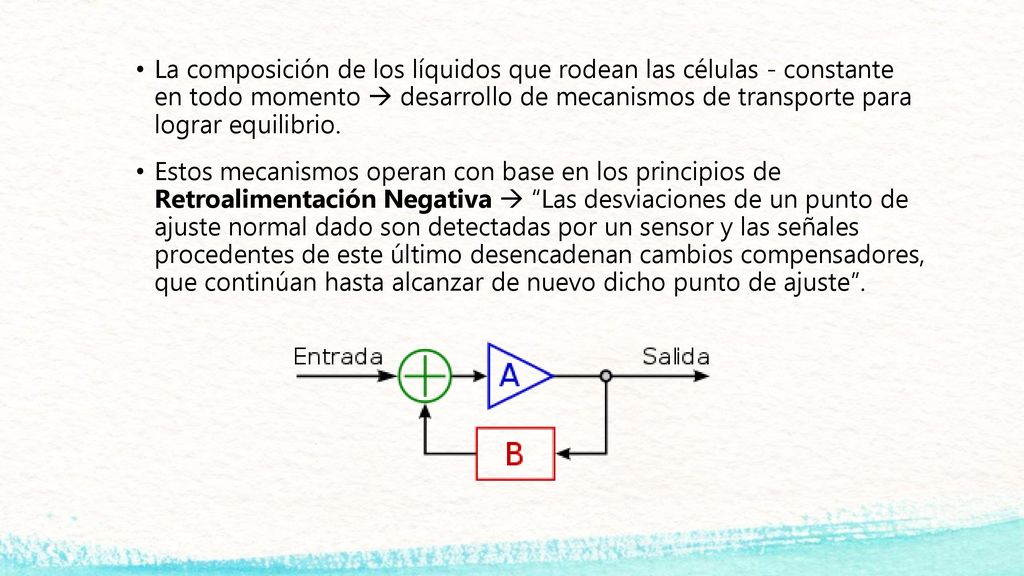 La composición de los líquidos que rodean las células - constante en todo momento  desarrollo de mecanismos de transporte para lograr equilibrio.
