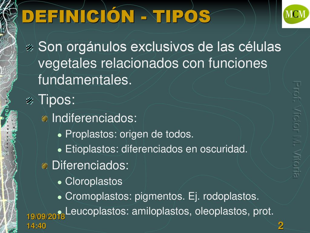 DEFINICIÓN - TIPOS Son orgánulos exclusivos de las células vegetales relacionados con funciones fundamentales.