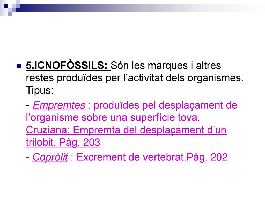 5.ICNOFÒSSILS: Són les marques i altres restes produïdes per l’activitat dels organismes. Tipus: